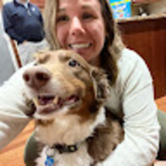 kassitodryk